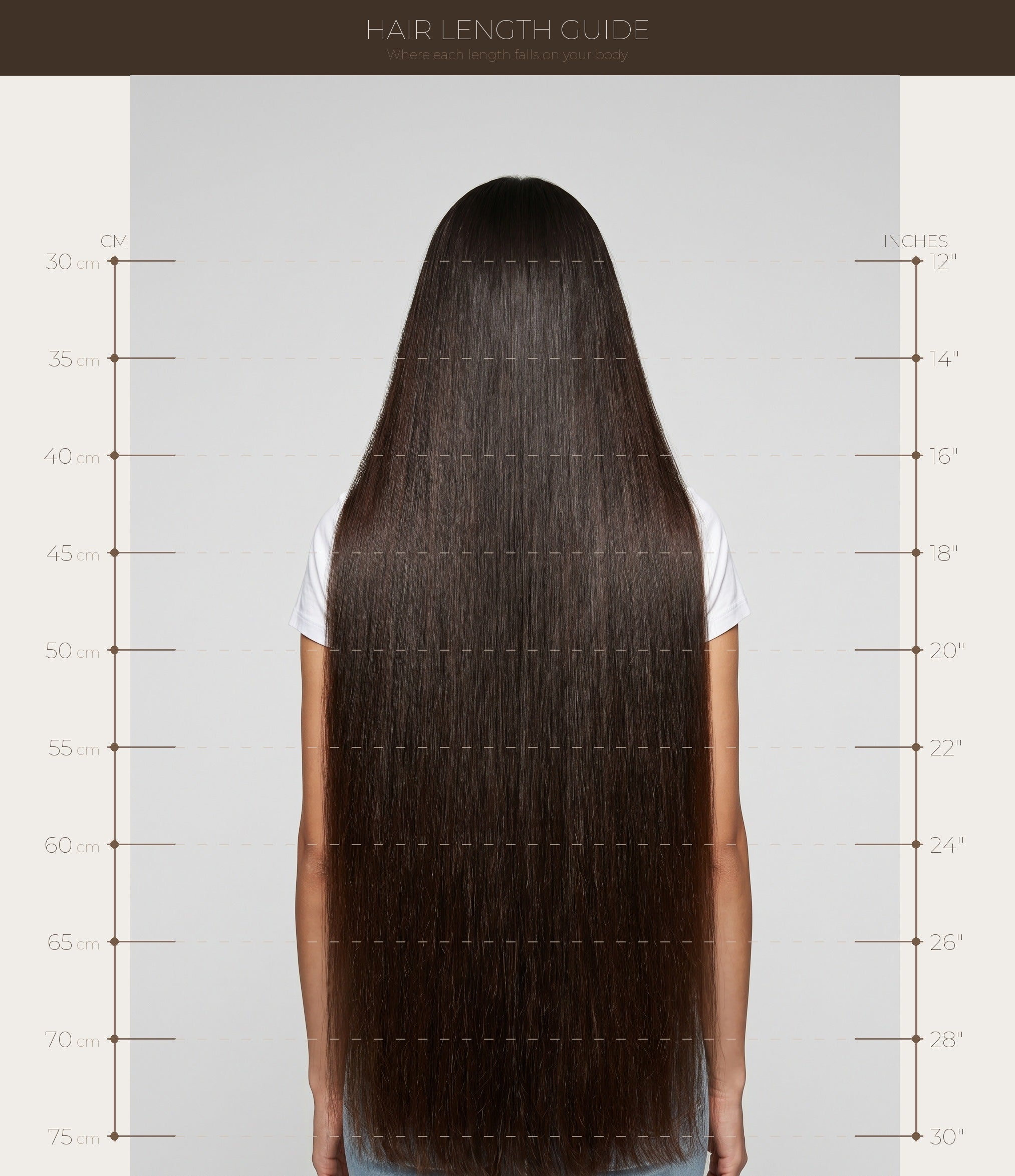 Hair Length Guide - Burve Hair