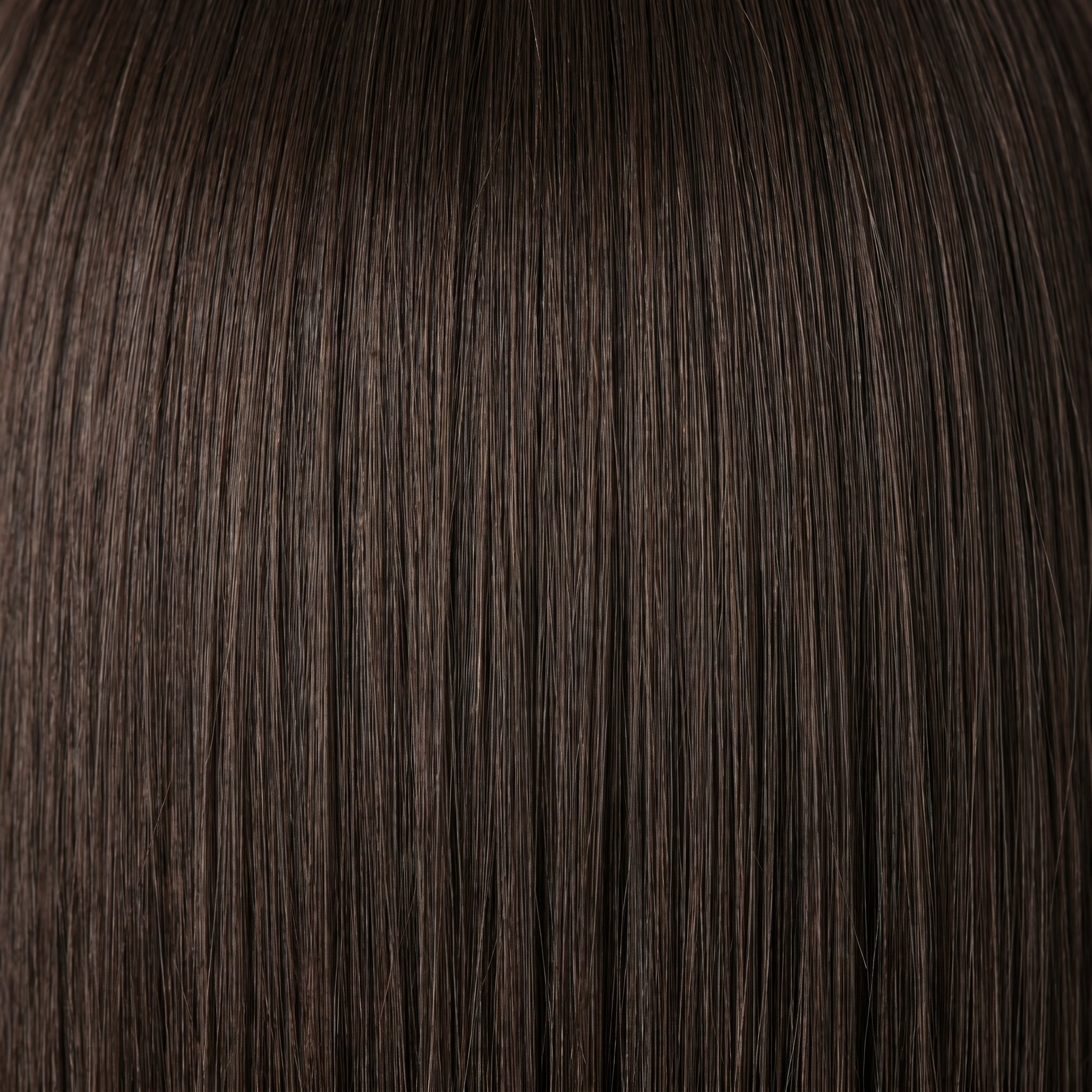 Ponytail Extensions #1C - Color Swatch