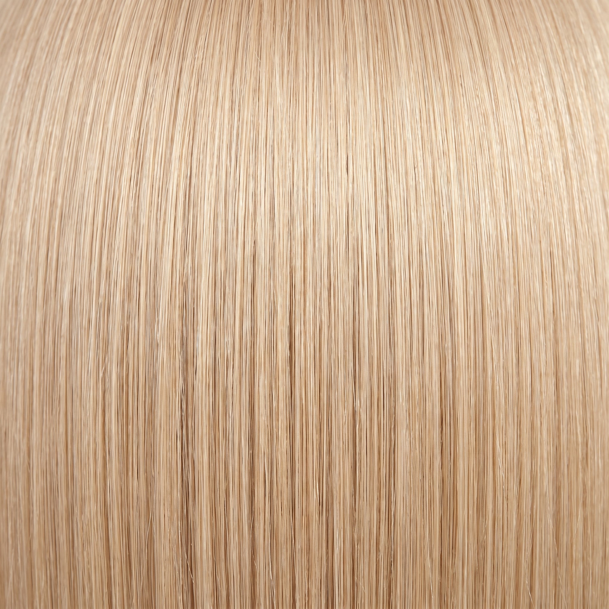 Ponytail Extensions #24 - Color Swatch
