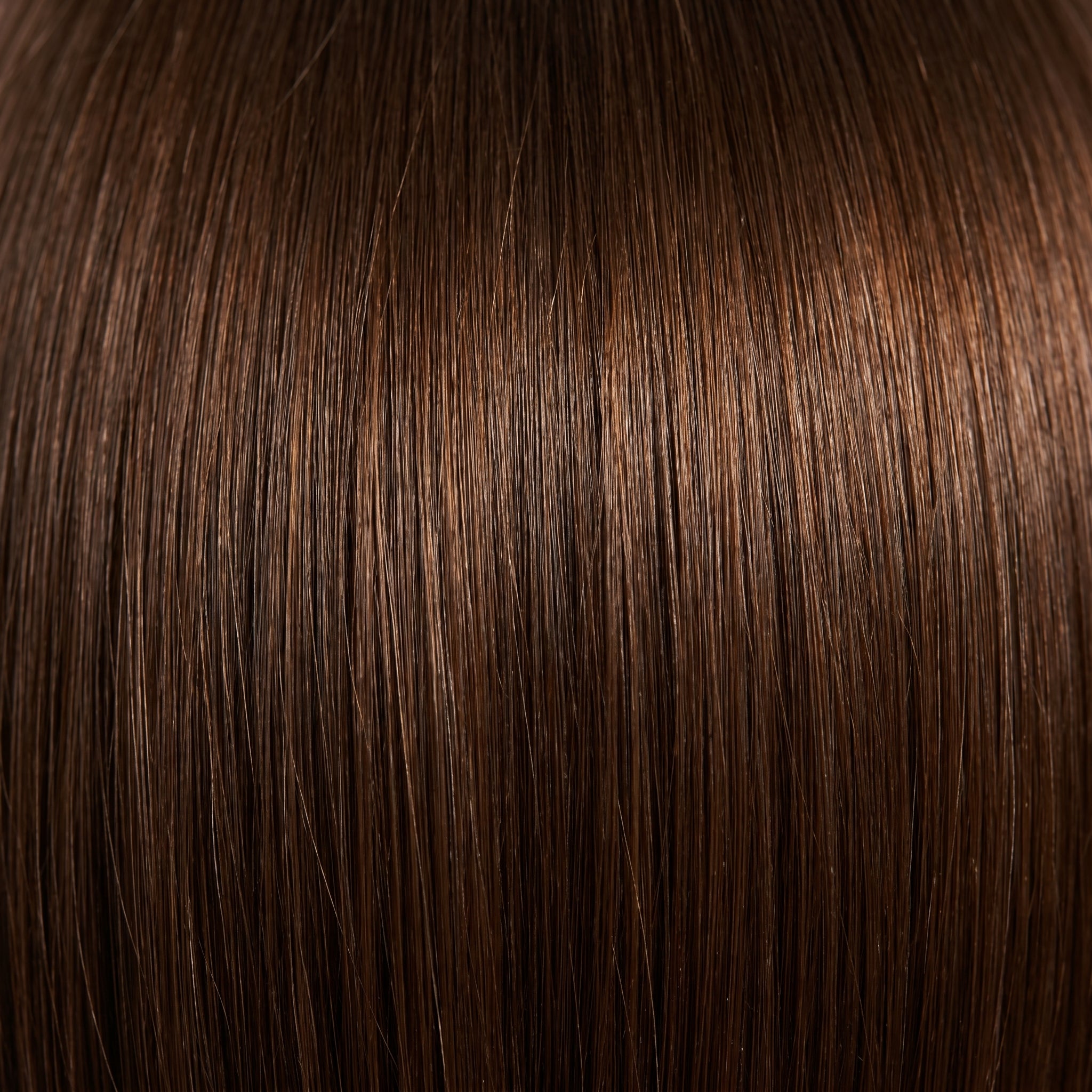 Ponytail Extensions #2 - Color Swatch